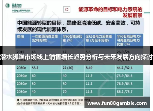 潜水脚蹼市场线上销售增长趋势分析与未来发展方向探讨